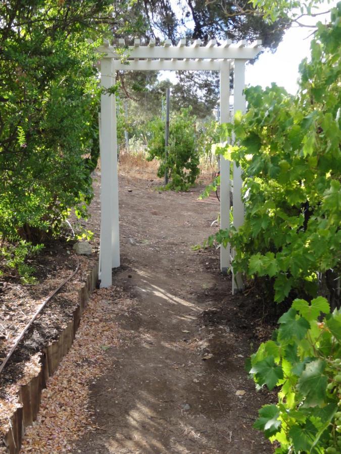 Walnut Cottage Angaston Екстериор снимка