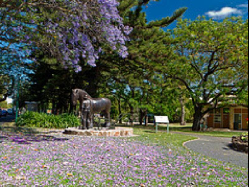 Walnut Cottage Angaston Екстериор снимка