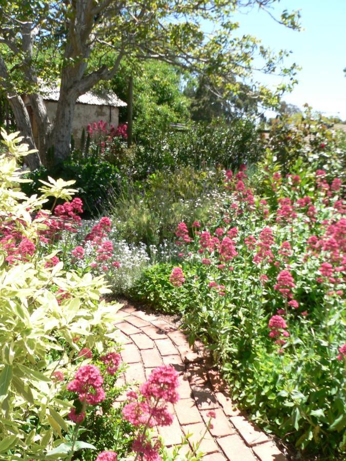 Walnut Cottage Angaston Стая снимка